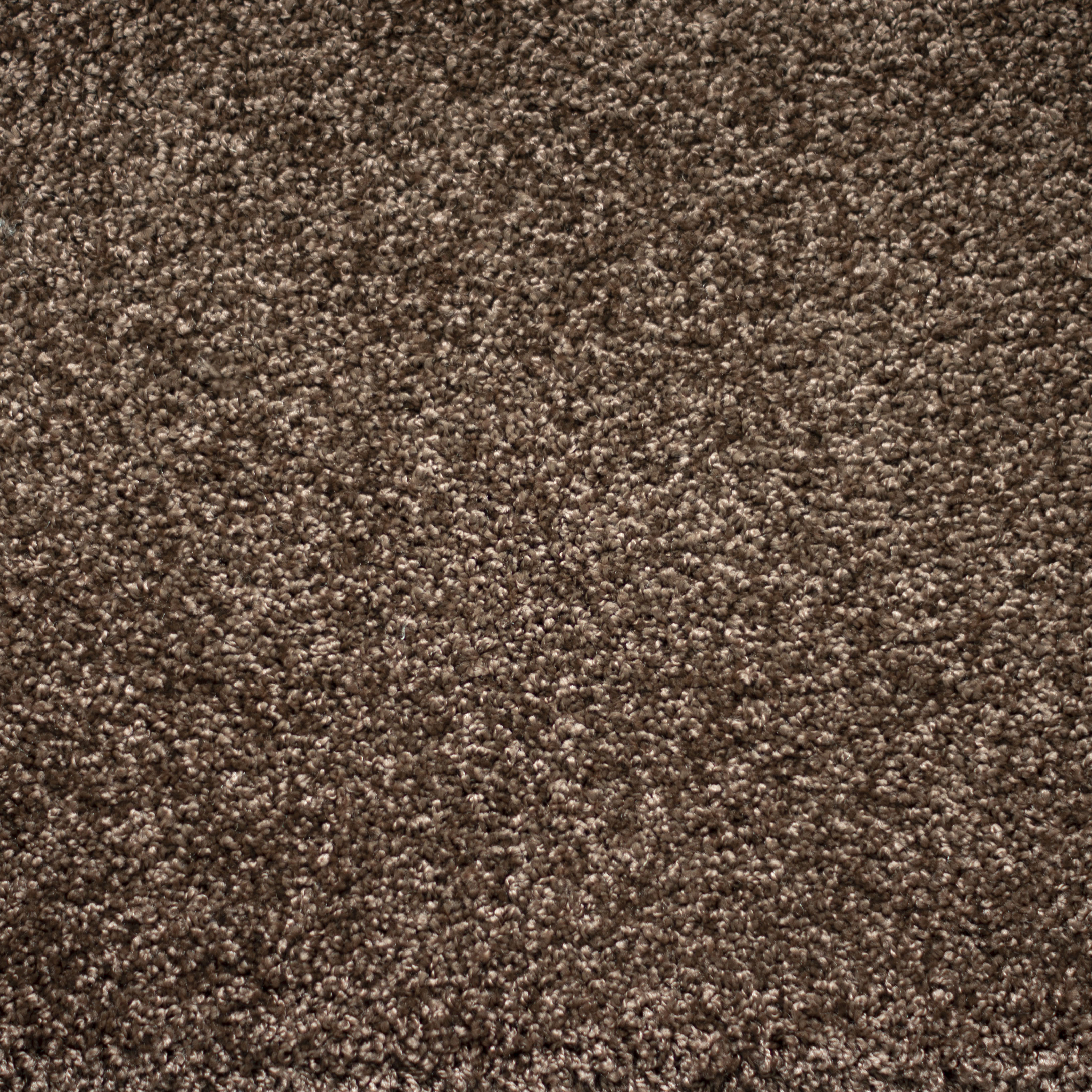 Ковролин "Зартекс" Tesoro 156 коричневый (4м) — купить в Тольятти