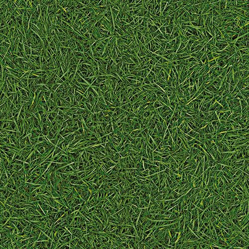 Линолеум бытовой "IVC" Bingo Grass 25 (3м) — купить в Тольятти