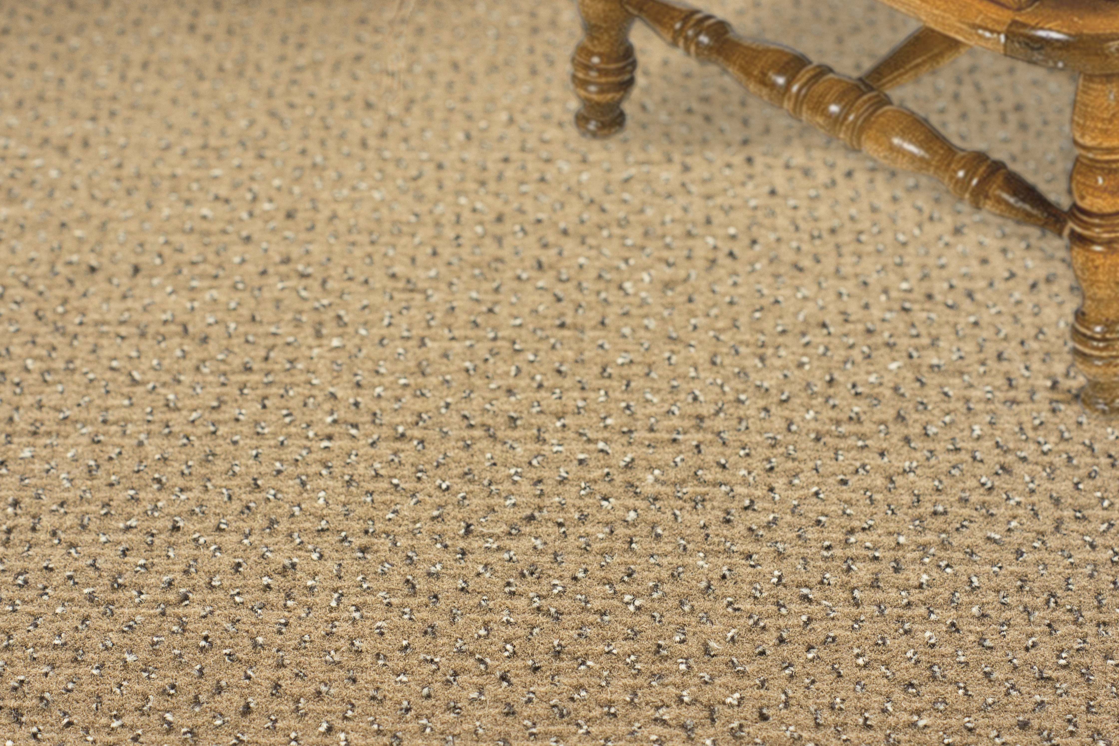 Ковролин "Зартекс" Eternity 142 бежевый (4м) — купить в Тольятти