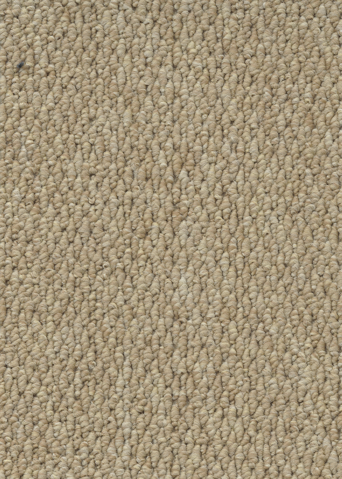 Ковровое покрытие "Bonkeel" Skye 50 (ширина 4м) — купить в Тольятти